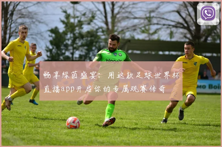 畅享绿茵盛宴：用这款足球世界杯直播app开启你的专属观赛传奇