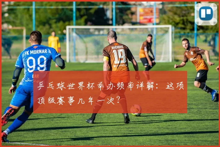 乒乓球世界杯举办频率详解:这项顶级赛事几年一次?