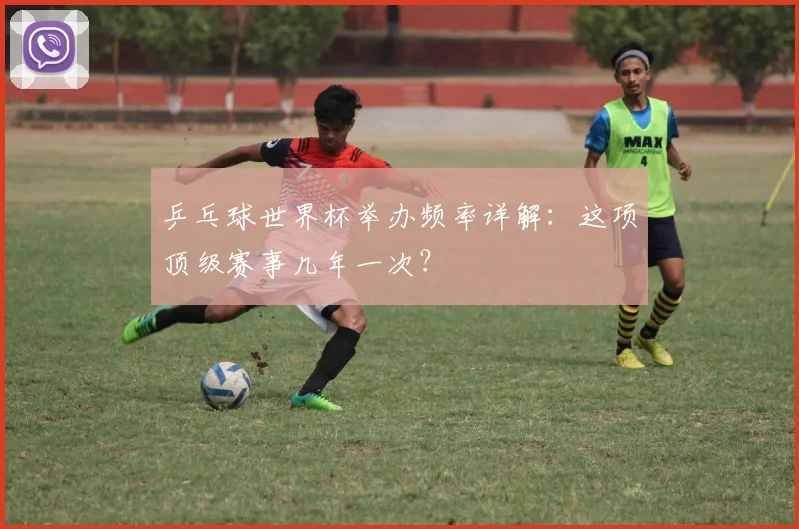 乒乓球世界杯举办频率详解：这项顶级赛事几年一次？